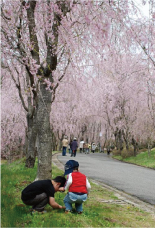 花より、昆虫?