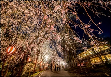 春夜のふれあいの里