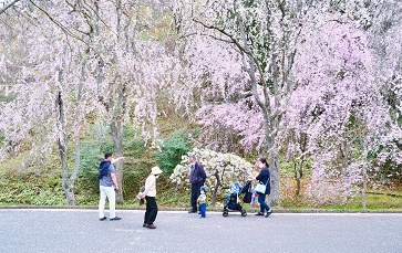 思い出日記